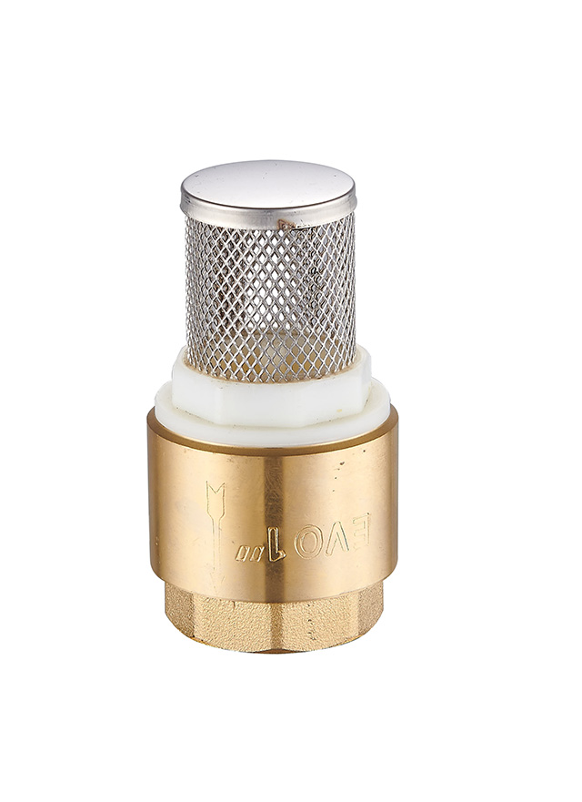 check valve