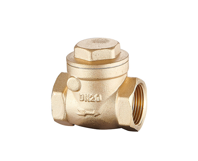 check valve
