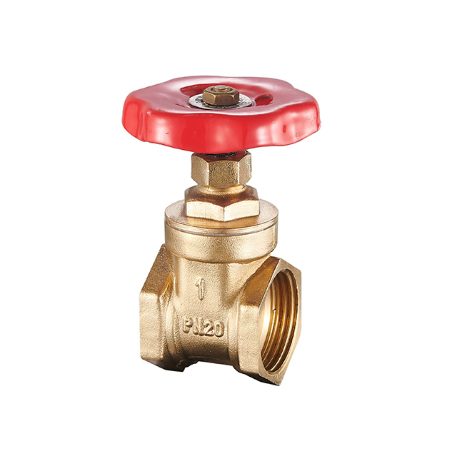 gate valve